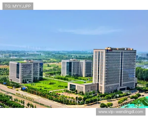 问鼎娱乐集团网址官方入口,全面展示公司业务布局与未来发展规划 问鼎娱乐集团网址官方入口,全面展示公司业务布局与未来发展规划