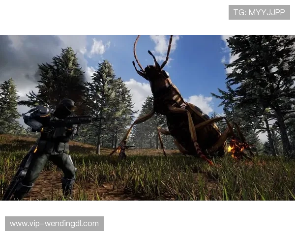 问鼎网页版下载安装包获取途径及注意事项确保下载安全无病毒